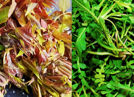 杭州：蔬菜批發、零售價格下跌